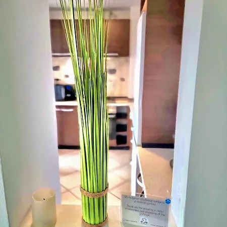 Ring Apartment *