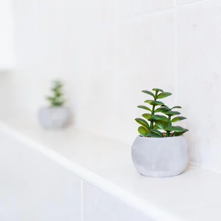 Ring Lägenhet Timişoara