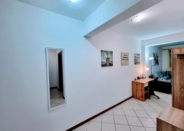 Ring * Тімішоара