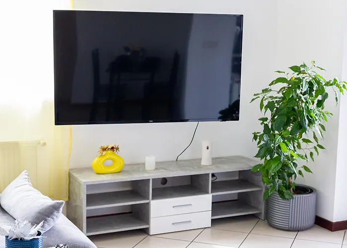 Ring Apartment Timisoara