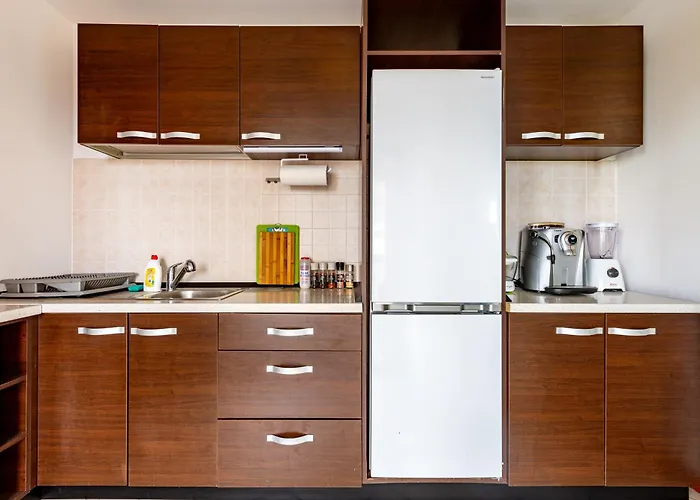 Apartamento Ring Timişoara