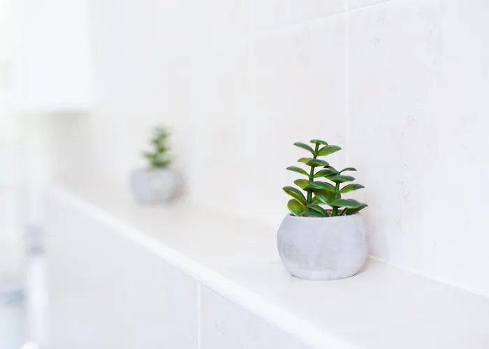 Ring Apartamento Timişoara